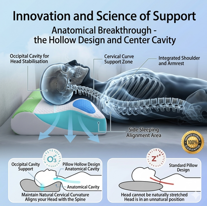Memory foam orthopedic Cervical Contour Pillow